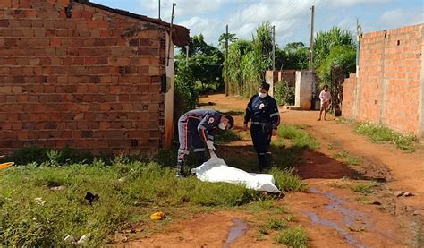 Homic Dios Prende Em Pe Acusado De Matar Desafeto Para Beber O Sangue