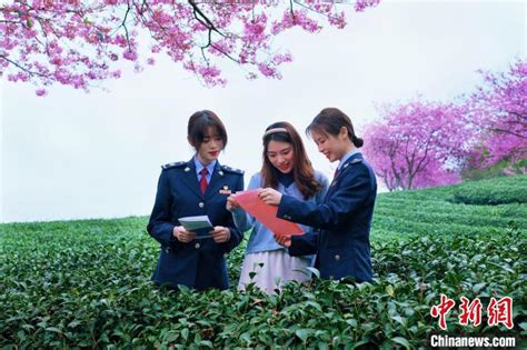 福建龙岩：“税惠春风”吹绿“大陆阿里山” 福建 华夏经纬网