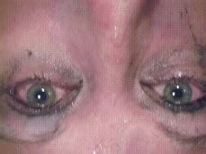 Gets Facefucked Porn Pornhub