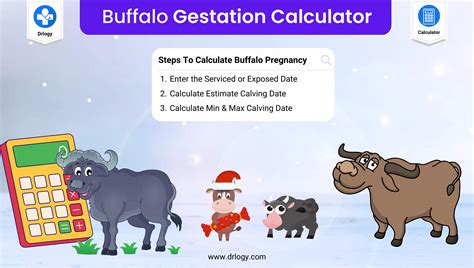 10+ Boer Goat Gestation Calculator - ShirazMaanvi