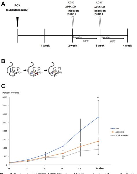 Figure From Cytosine Deaminase Overexpressing Htert Immortalized