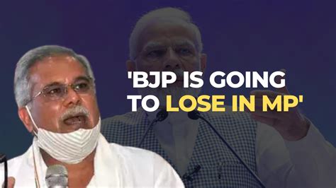 Bjp Is Going To Lose In Mp Bhupesh Baghel After Bjp Fields Union