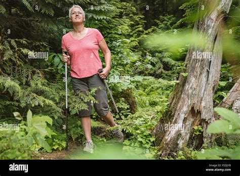 Mature Woman Hiking In Forest Stock Photo Alamy