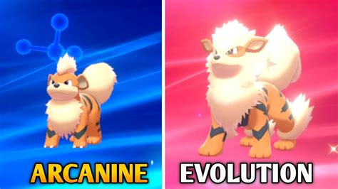 How To Evolve Growlithe Into Arcanine In Pokemon Sword Shield Galar