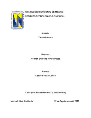 Conceptos Basicos 3 Apuntes TECNOLOGICO NACIONAL DE MEXICO