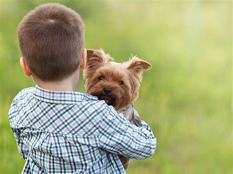 Cachorro para criança aqui tem ideias pra você Paixão Animal