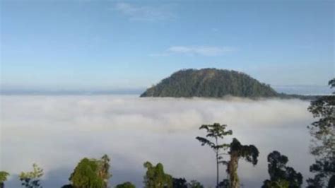 Gunung Boga Sepotong Surga Di Kawasan Penyangga Ikn Nusantara