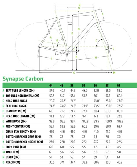 Cannondale Synapse Carbon Disc Tiagra Hart S Cyclery Pennington Nj