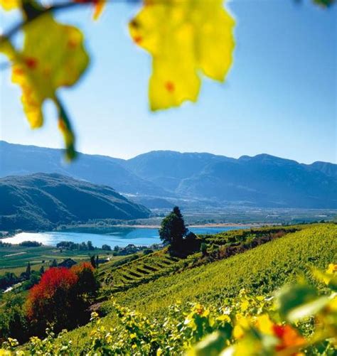 South Tyrol is known for its excellent wine