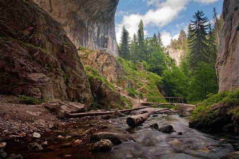 Rhodope Mountains Explorer The Natural Adventure