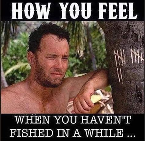 The Best 50 Fishing Memes: Funniest, Sauciest and More