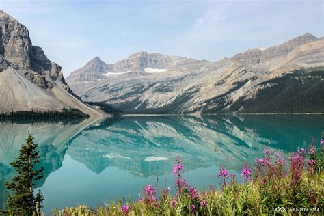 Bow Lake Banff National Park Alberta Canada Oc X R