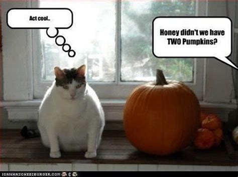 Ten (New) Funny Halloween Memes - MajorGeeks