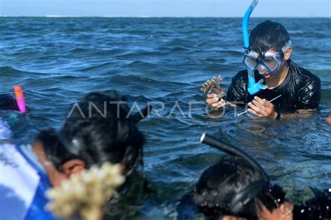 Konservasi Terumbu Karang Di Bali Antara Foto