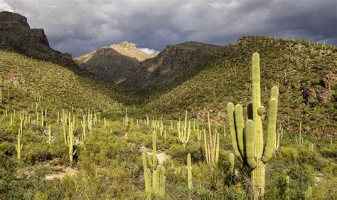 Sabino Canyon Trail | Arizona Highways