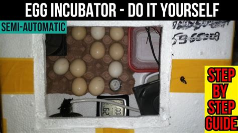 How To Make A Incubator At Home Step By Step Tutorial In Less Than 5 Mins Youtube