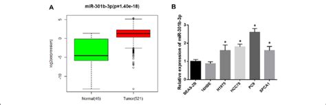 Mir B P Is Up Regulated In Luad Tissue And Cells A Box Plots Of