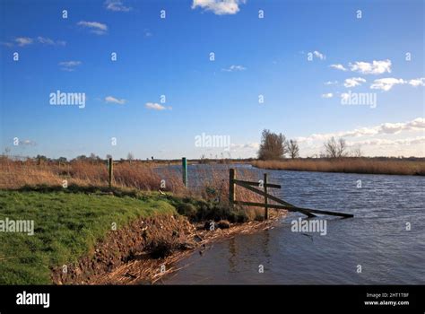 A View Of The Reed Fringed River Bure By St Benet S Abbey On The