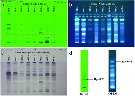 HPTLC Fingerprint Profiling Of EA Extract Of Fungal Endophytes A TLC