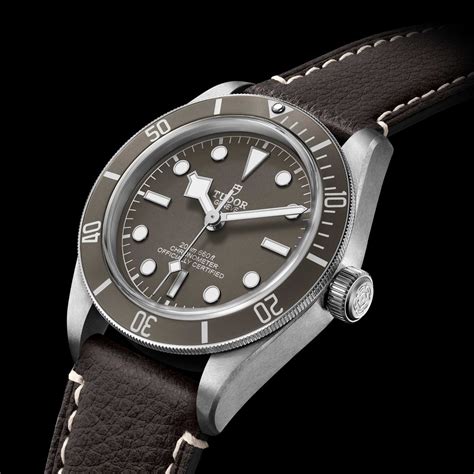 Tudor Black Bay 58 925 Watch M79010sg 0001 Tudor Watch