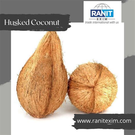 A Grade Solid Semi Husked Coconut Packaging Size Kg Coconut Size