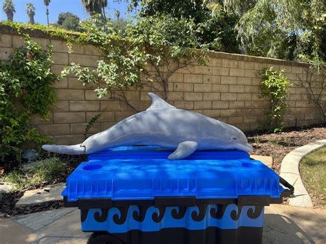 National Marine Mammal Foundation — Art de DeLay