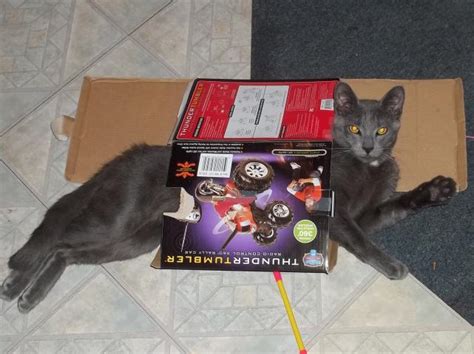 da cat worldwidedx radio forum