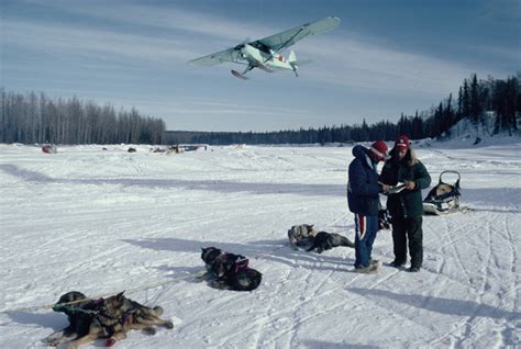 Skwentna Checkpoint 2001 Iditarod Iditarod