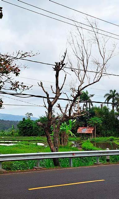 C Mo Llegar Y Moverse Por Bali Dos Viajeros Viajando