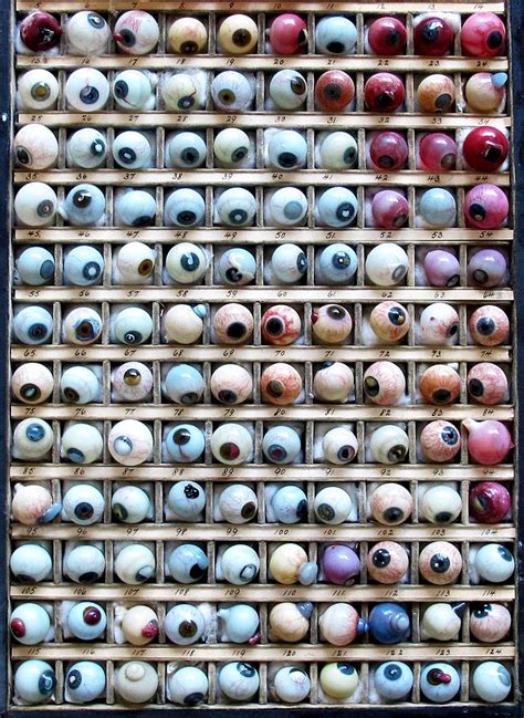 Glass Eyeball Specimens — C 1860 Glass Eyeballs Eyeball Eye Art