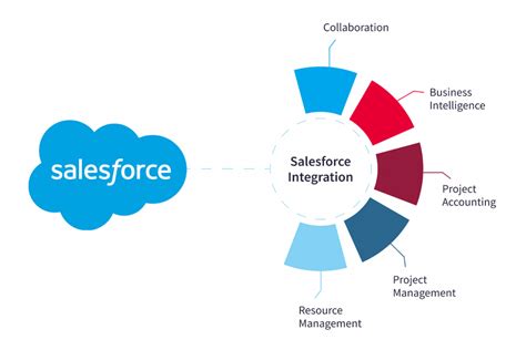 Salesforce The Backbone Of A Data Driven Business Revolution Making