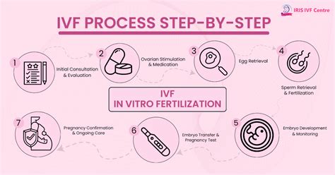 Understanding The IVF Process Step By Step A Comprehensive Guide 2024