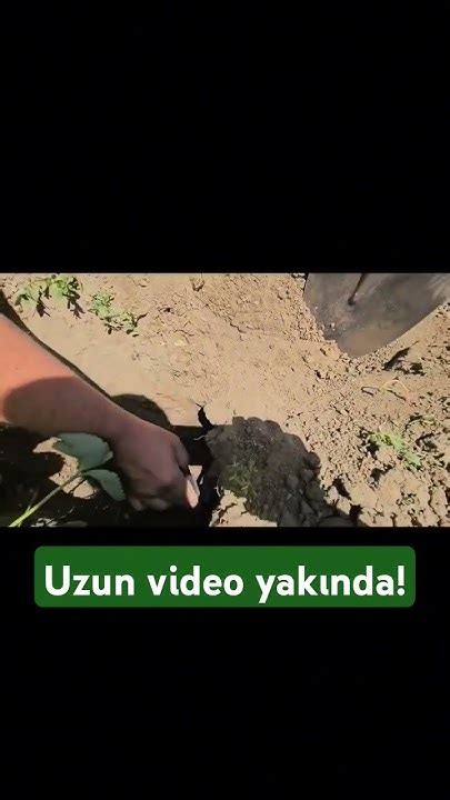 Köydeki Pazar Günümüzden Kısa Videoyakinda Uzun Bölümü Gelecek Köy