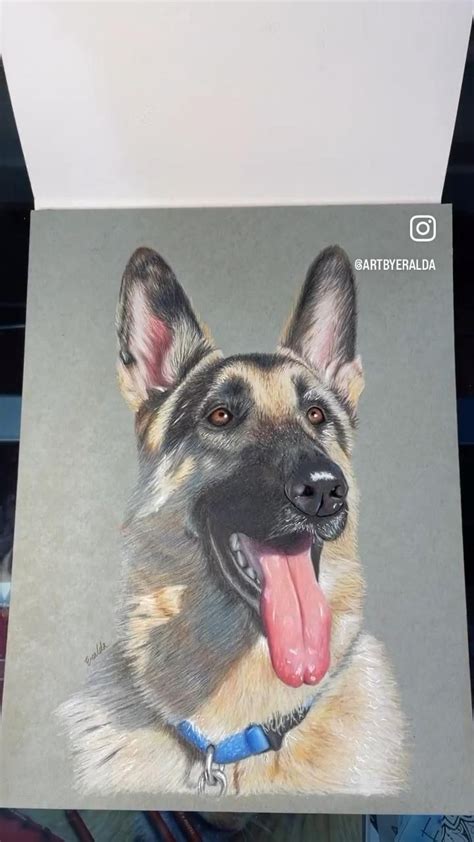 Realistic Dog Portrait Drawing! [Video] | Portrait drawing, Dog ...