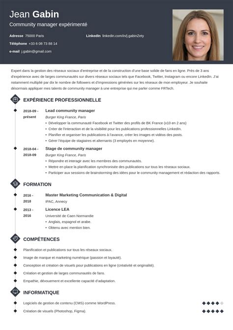 French Cv Template