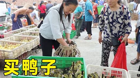 幺妈去镇上赶集，买12只鸭子回家养，还买了土豆回来给幺幺炸薯条来吃【幺妈和幺叔】 Youtube