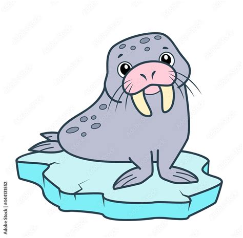 Cute Walrus Cartoon Morse Clipart Vector Illustration Stock Vector