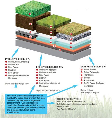 Green Roofs | Eco Friendly Flat Roofing | DuoPly | AR Systems | Green roof, Green roof benefits ...