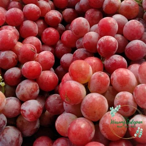 Jual Buah Anggur Merah Merona Kriuk Ada Biji Buah Anggur Manis Buah