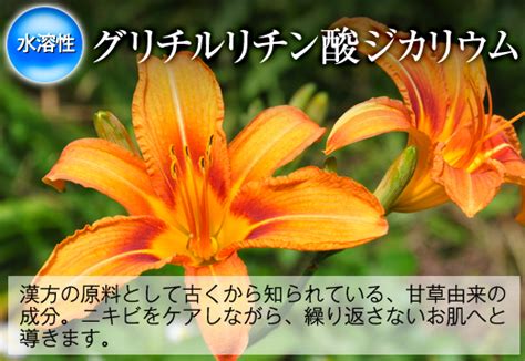 ニキビを治す・消す方法！即効で効くケア方法や種類別の薬を紹介