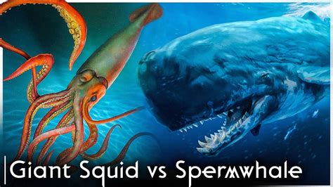 Giant Squid Vs Sperm Whale Oceanic Giants Clash Youtube