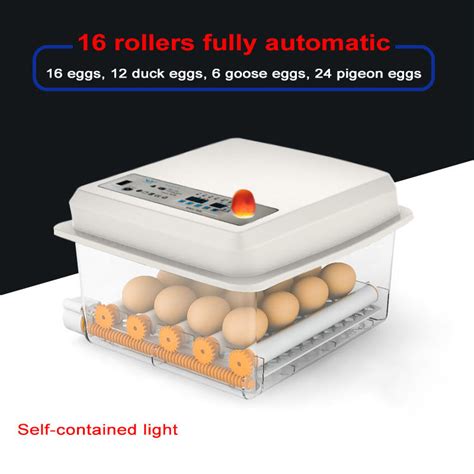 220V 12V Egg Incubator Fully Automatic 12 16 30 36 64 120 Eggs