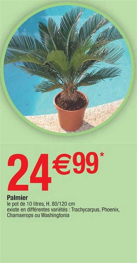 Promo Palmier Chez Cora ICatalogue Fr