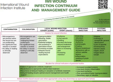 What Is An Infected Wound