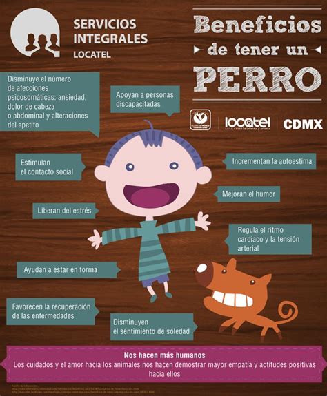 Beneficios De Tener Un Perro Perros Amantes De Los Perros Razas De