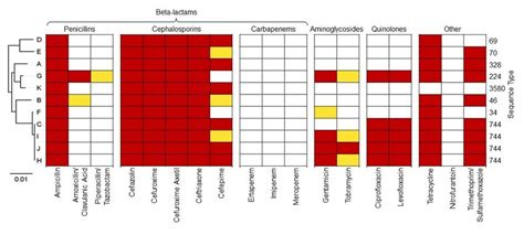 Antibiotic Susceptibility Phenotypes Of Esbl Producing E Coli Isolates