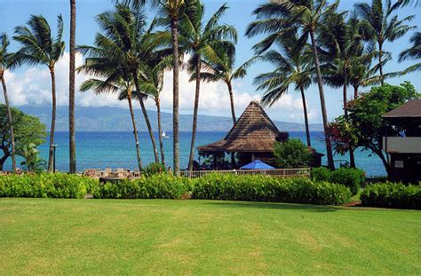 Napili Shores Resort Maui – Hawaiipictures.com