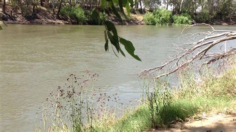 Wagga Wagga Murrumbidgee River YouTube