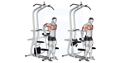 Assisted Triceps Dip Guide Benefits And Form