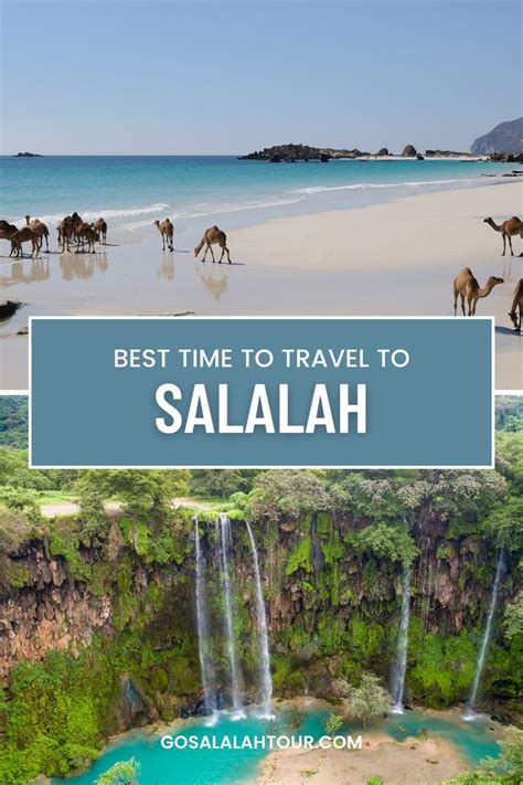 Best Time To Travel To Salalah Salalah Oman Travel Travel